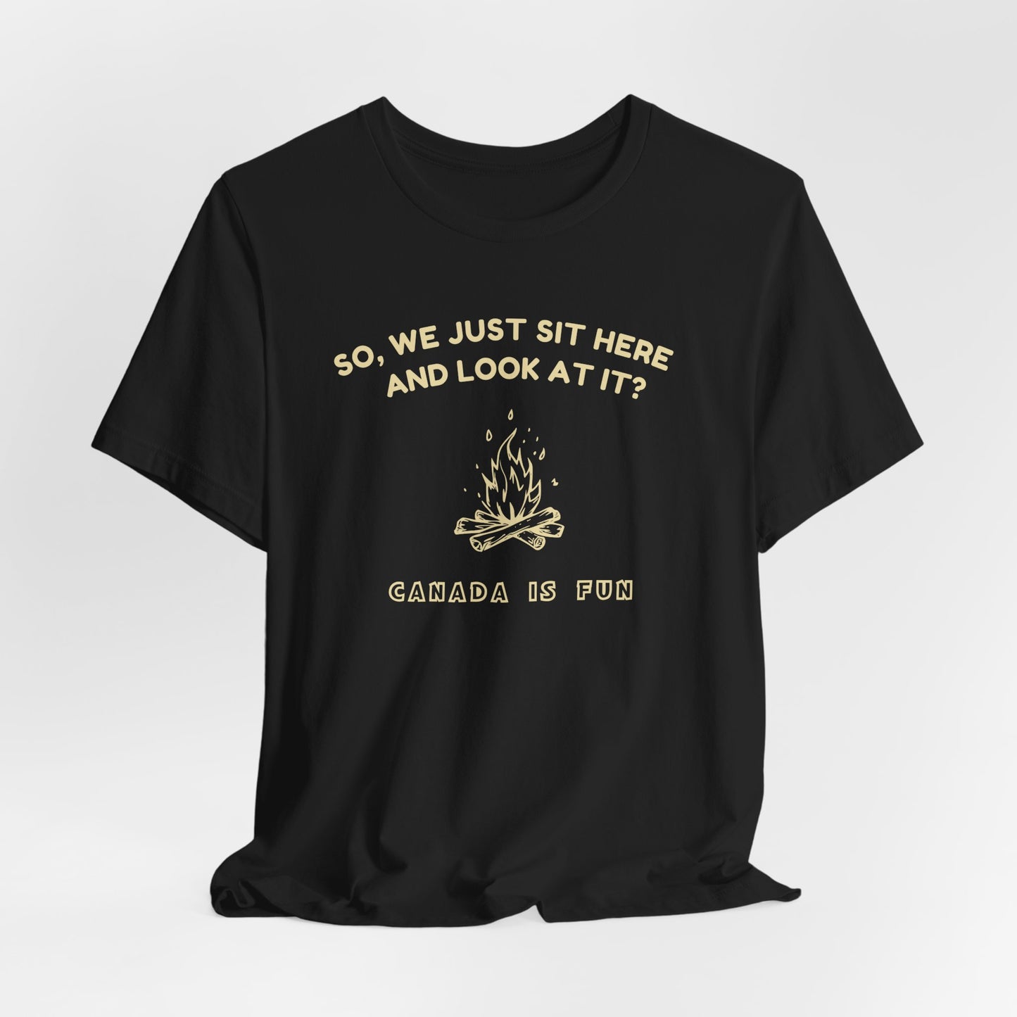 So, We Just Sit Here and Look at It? Heated Rivalry Cottage Episode T-Shirt